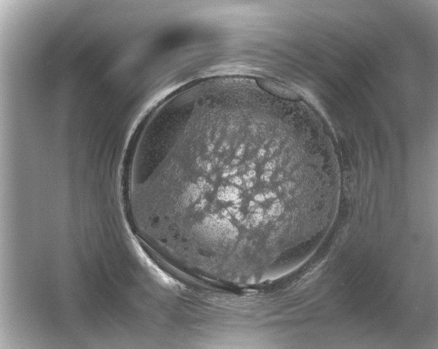 X0000063460995200601231413