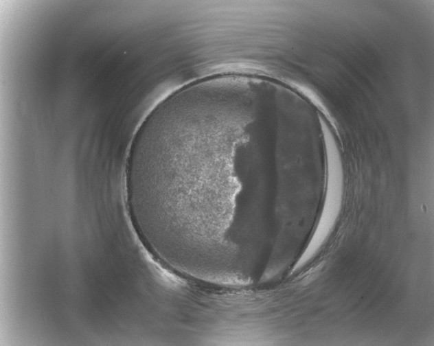 X0000063460999200601231413