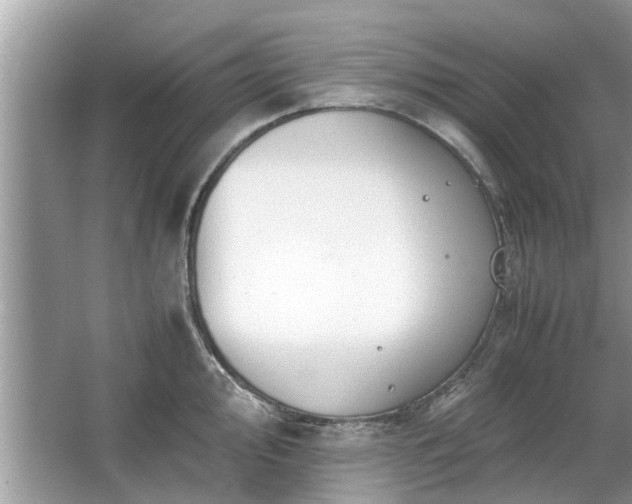 X0000063461000200601231413