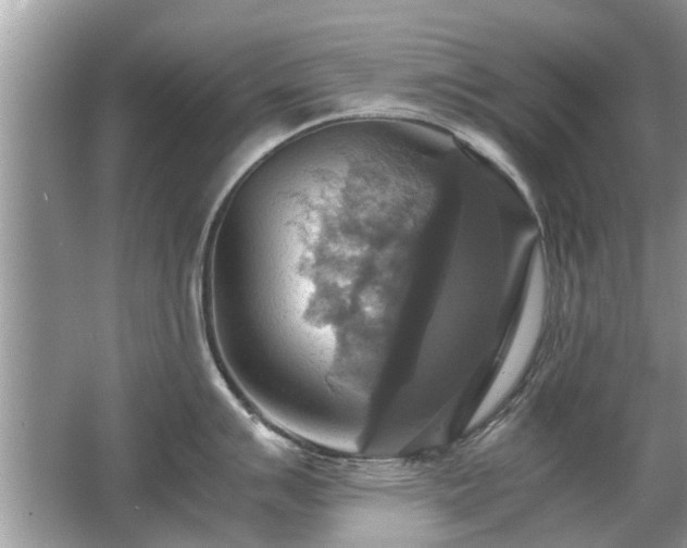 X0000063461007200601231413