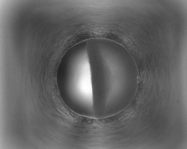 X0000063461009200601231412