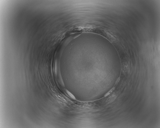 X0000063461010200601231412