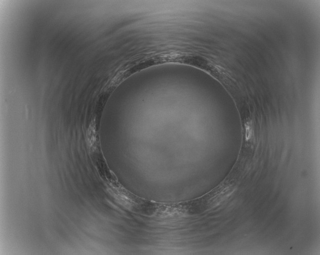 X0000063461011200601231412