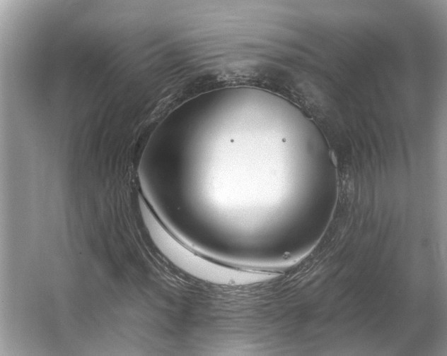 X0000063461012200601231412