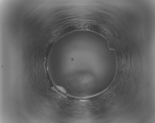 X0000063461013200601231412