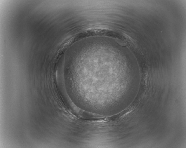 X0000063461014200601231412