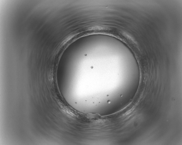 X0000063461017200601231412