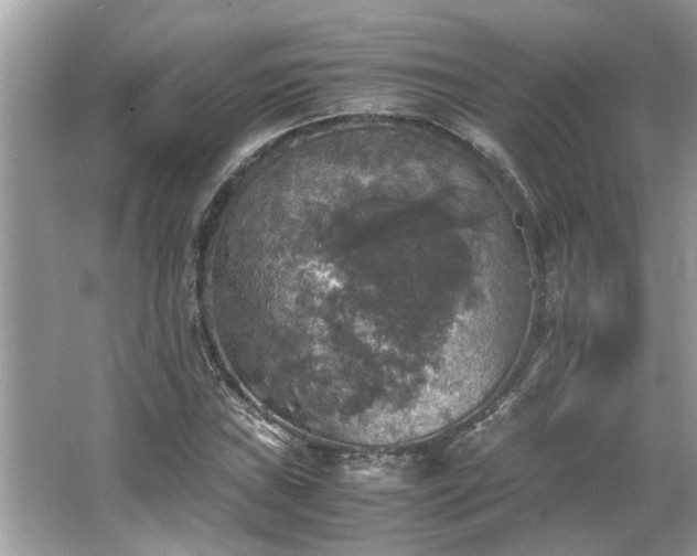 X0000063461019200601231412