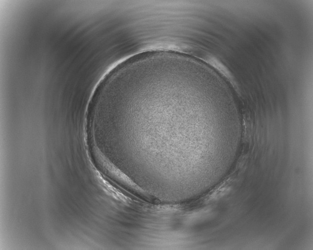 X0000063461020200601231412