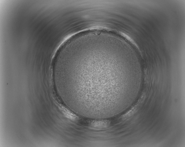 X0000063461021200601231412