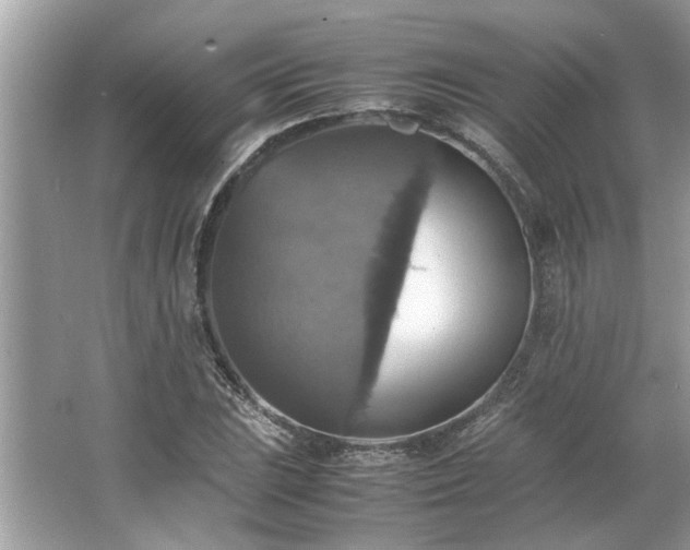 X0000063461023200601231413