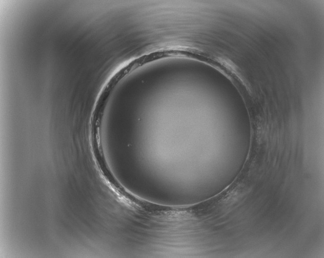 X0000063461024200601231413