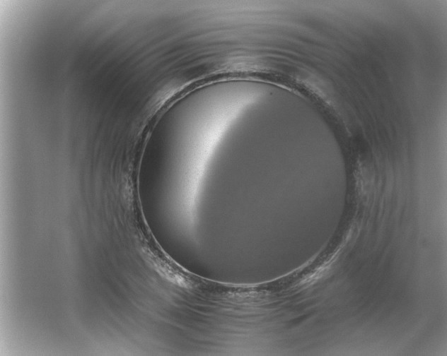 X0000063461025200601231413