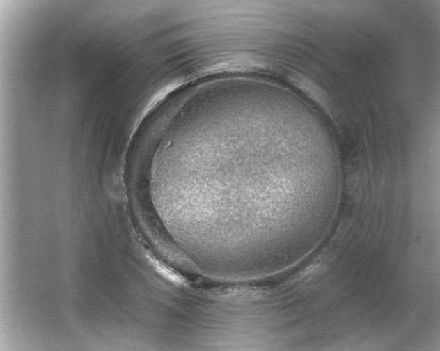 X0000063461026200601231413