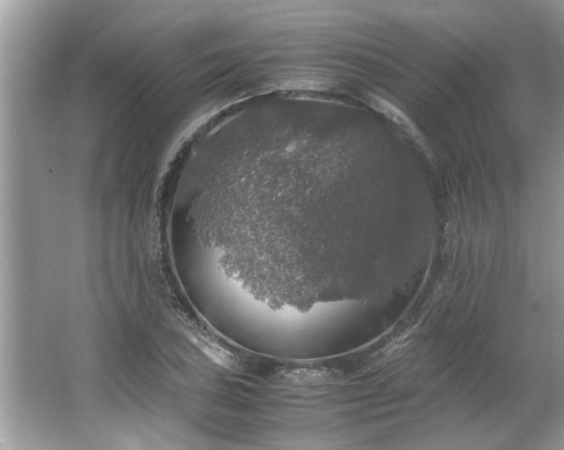 X0000063461027200601231413