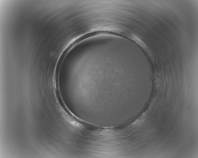 X0000063461028200601231413