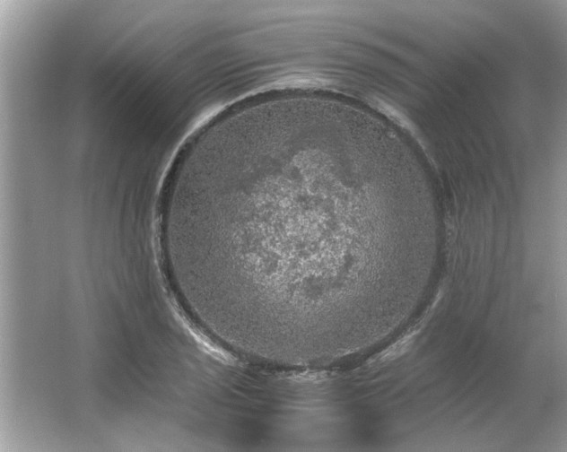 X0000063461029200601231413