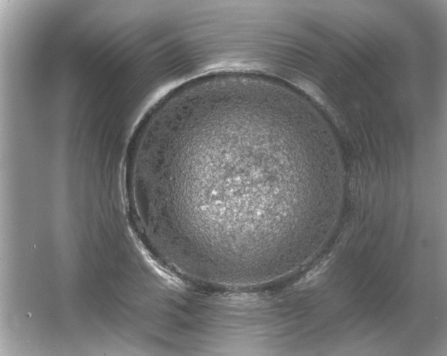 X0000063461030200601231413