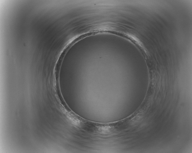 X0000063461031200601231413