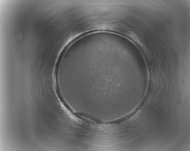 X0000063461032200601231413