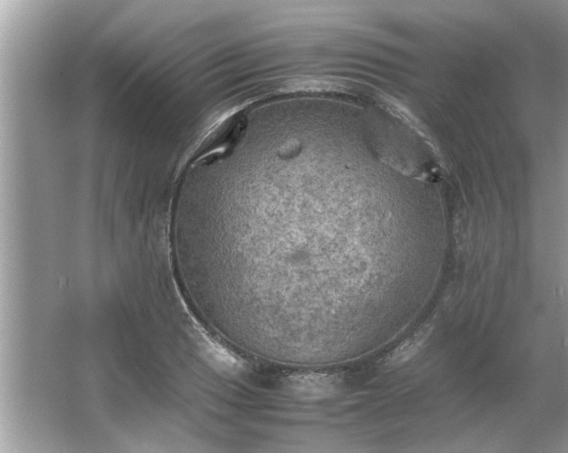 X0000063461033200601231413