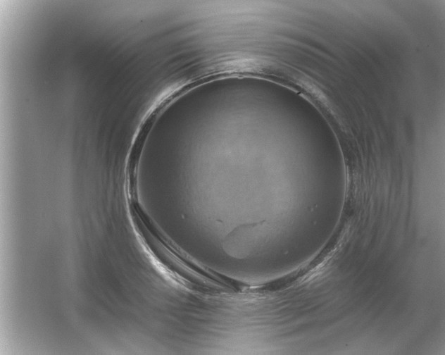 X0000063461034200601231413