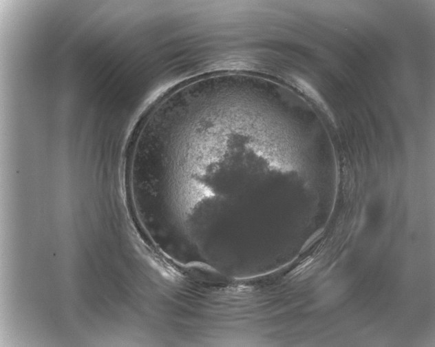 X0000063461035200601231413