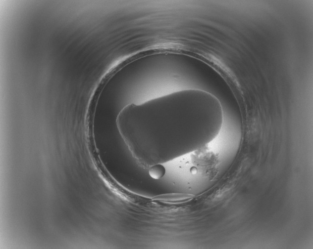 X0000063461037200601231413