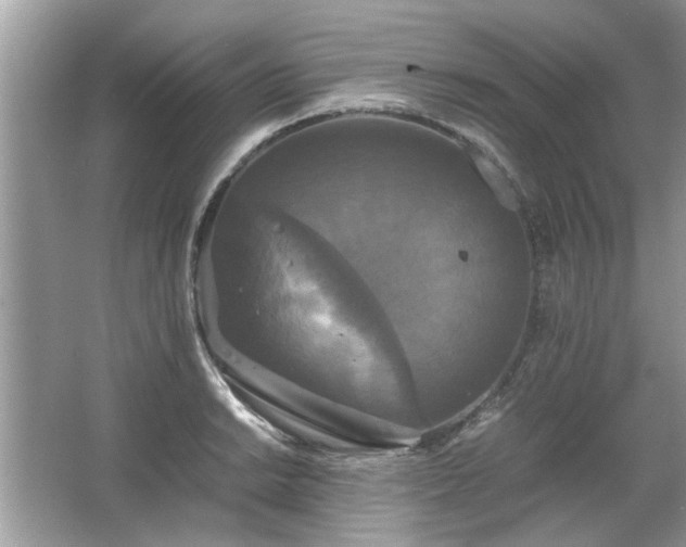 X0000063461038200601231413