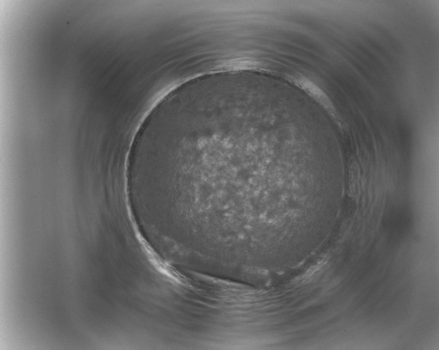 X0000063461039200601231413