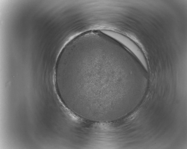 X0000063461040200601231413