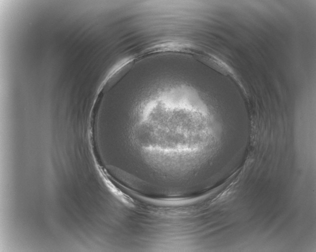 X0000063461042200601231413