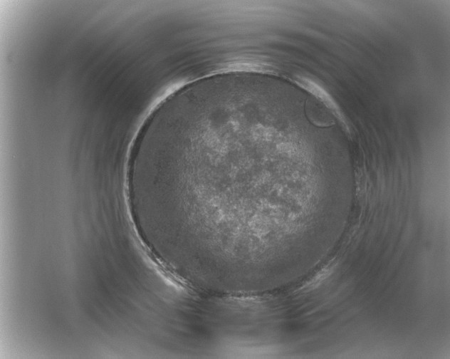 X0000063461043200601231413