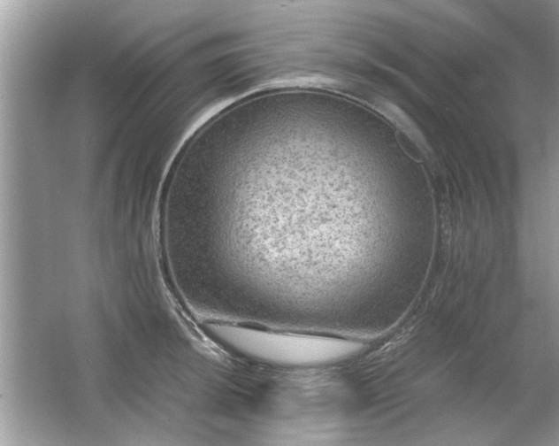 X0000063461044200601231413