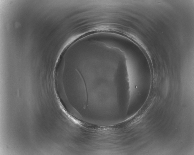 X0000063461045200601231413