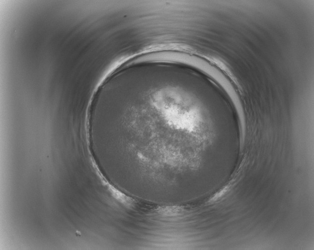 X0000063461046200601231413