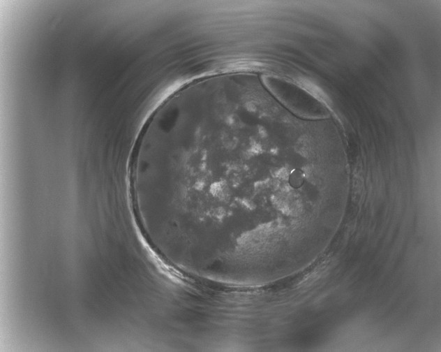 X0000063461047200601231413