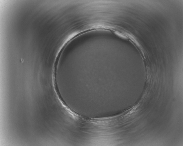 X0000063461048200601231413