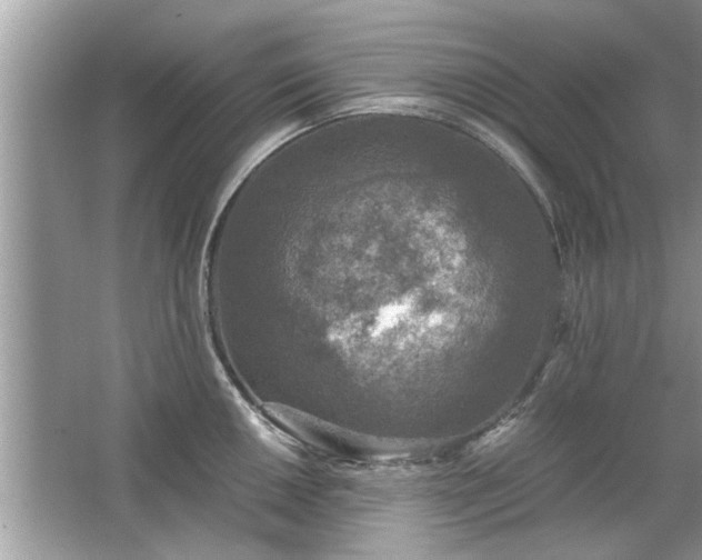 X0000063461050200601231413