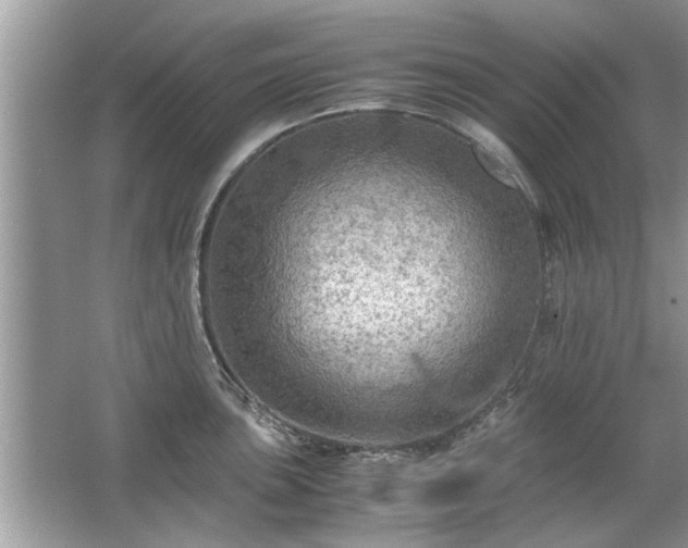 X0000063461051200601231413