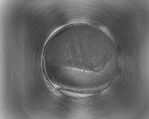 X0000063461052200601231413