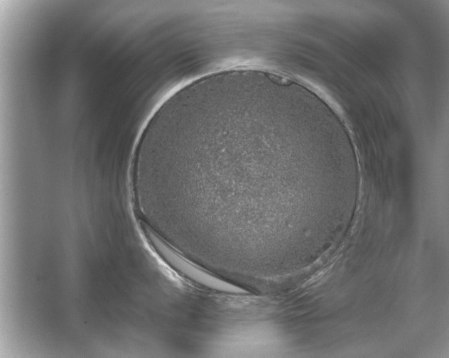 X0000063461056200601231413