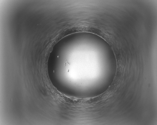 X0000063461057200601231412