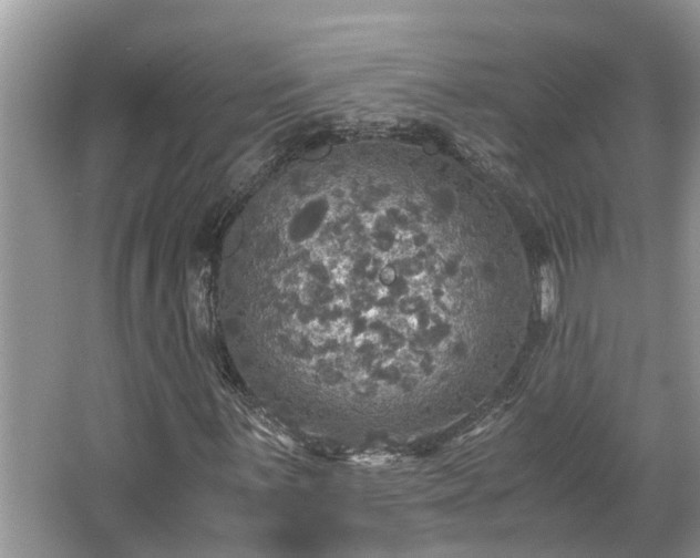 X0000063461059200601231412