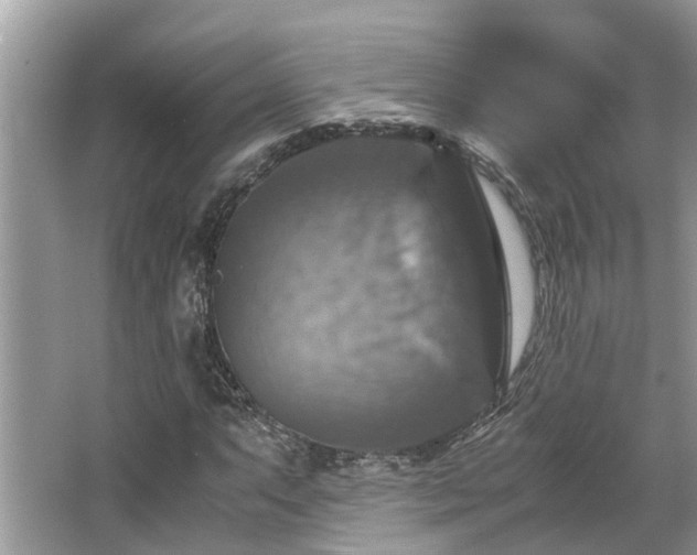 X0000063461063200601231412