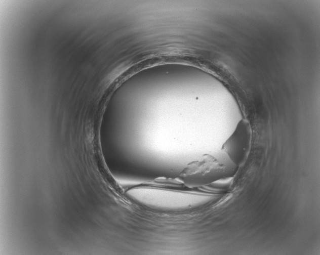 X0000063461065200601231412