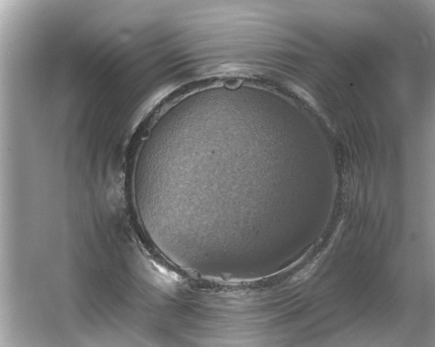 X0000063461066200601231412