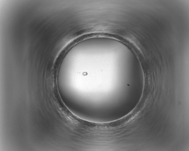 X0000063461069200601231412