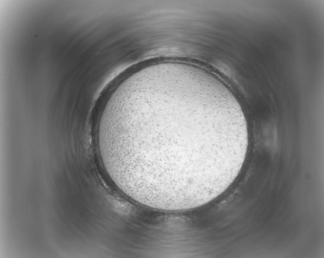 X0000063461070200601231412