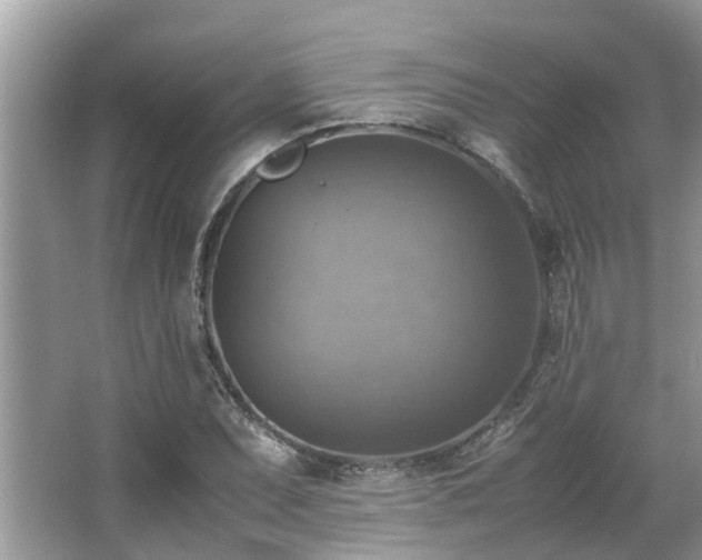 X0000063461071200601231412